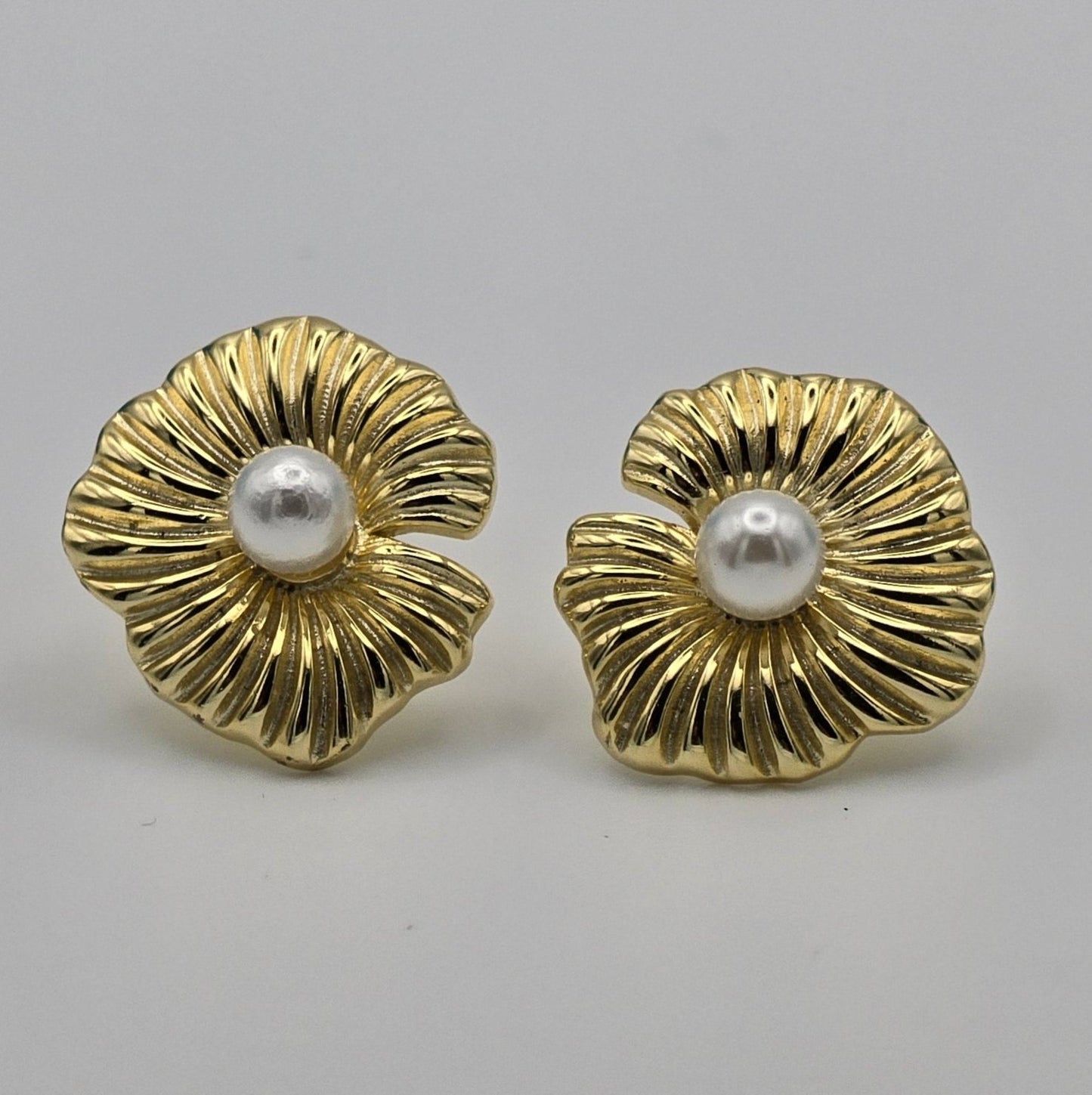 CONCHAS DE MAR