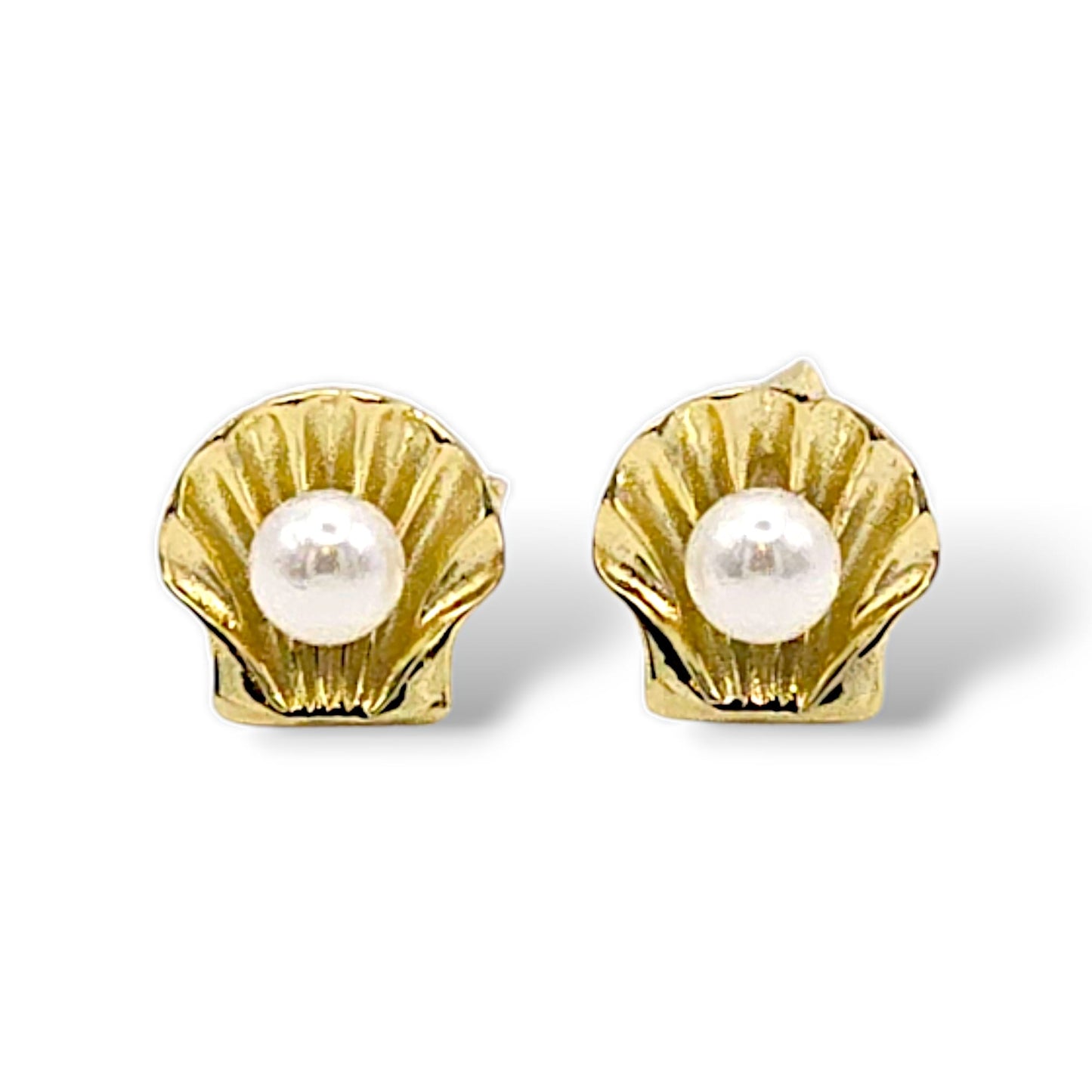 MINI SEASHELLS