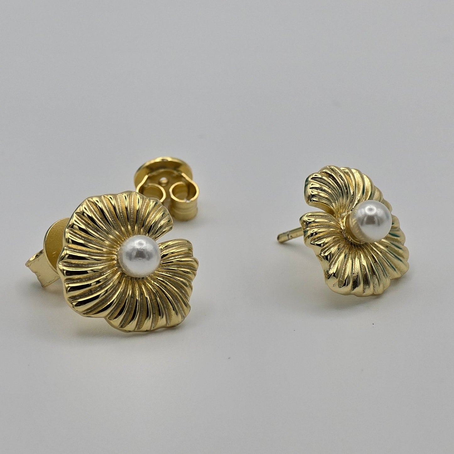 CONCHAS DE MAR