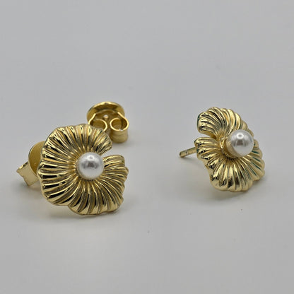 CONCHAS DE MAR